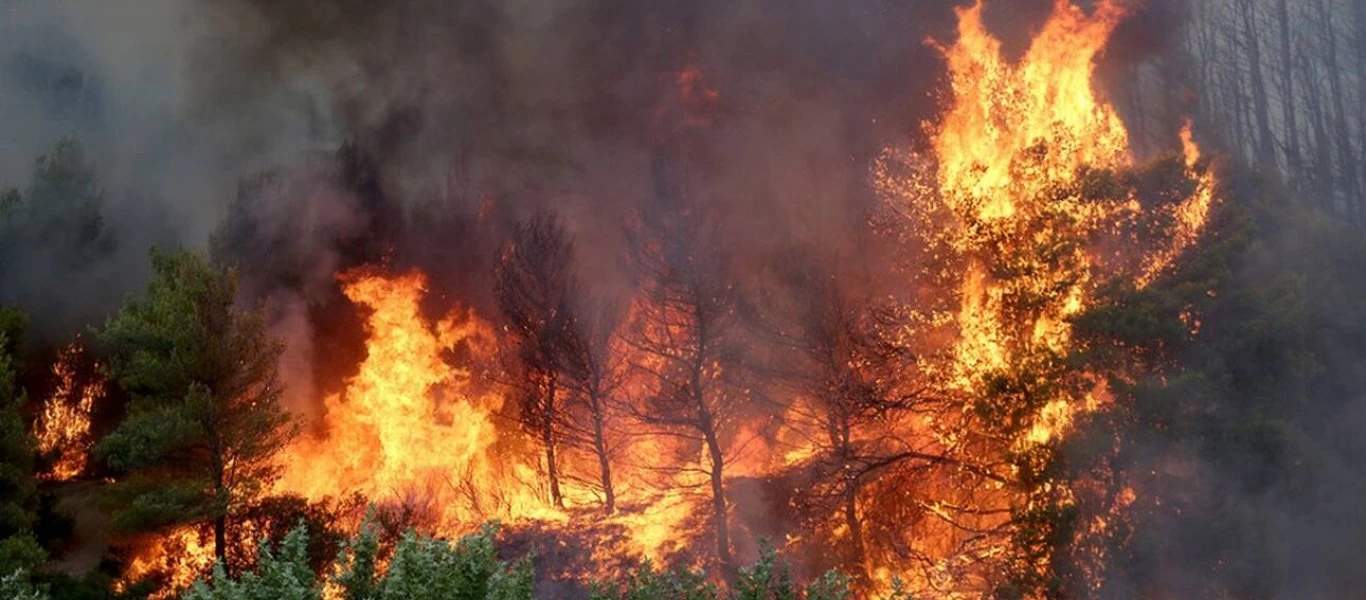 Φωτιά Κερατέα: Αγνοείται ηλικιωμένη γυναίκα με κινητικά προβλήματα